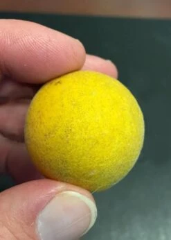 Flying Dragon Hardy Orange Tree - 7 Gallon Pot (3-4') -Good Housekeeping Shop Orange Flying Dragon 6 1